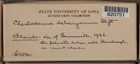Image Associated With the Occurence